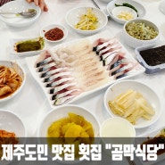 제주도 동쪽 구좌 회국수, 횟집 / 제주도민 맛집 추천 / 시댁식구랑 다녀왔어요 🙋🏻♀️