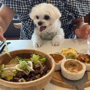 [여수 소코아] 반려동물 동반 식당 추천(그런데 이제 맛과 분위기를 곁들인)