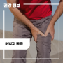 허벅지 통증 원인 5가지, 완화 방법 : 허벅지 근육 통증