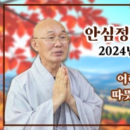 논산 안심정사 법안스님 2024년 추석 메시지