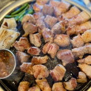 함덕 흑돼지 맛집 화로위 로컬 현지인 맛집