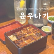 울산 장어덮밥 단연 최고는 <윤우나기> 울산 공업탑 맛집으로 추천해요!