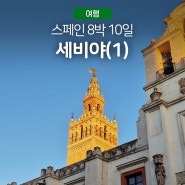 [스페인 여행(5)]'바야흐로 성전의 시작이다'(바르셀로나→세비야, 마리아루이사공원, 스페인광장)