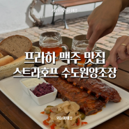 프라하 수도원 양조장, '스트라호프 수도원 strahov beer garden' 브루어리 맥주 립 꼴레뇨 맛집