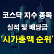 코스닥 시총 순위 보로노이 HPSP HLB 주가 주식 및 배당금 실적 전망