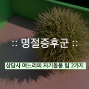 명절증후군 :: 명절은 3일이 아니에요. 상담사 며느리의 자기돌봄 팁 2가지 + 뻔한 얘기.