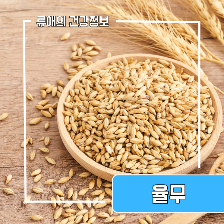 율무 효능 부작용 : 율무차, 율무가루, 율무밥, 율무의효능 : 네이버 블로그