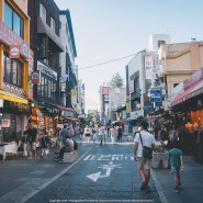 오랜만에 둘러 본 인사동과 익선동