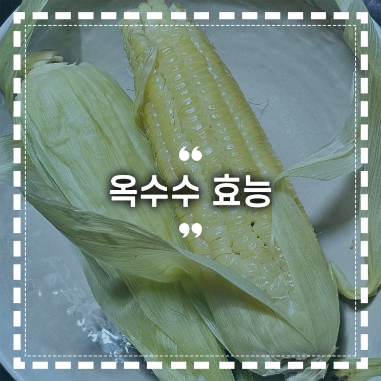 올해의 마지막 옥수수 찌기 효능은? : 네이버 블로그