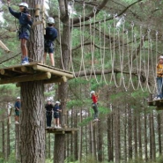 오클랜드근교 타잔이 될수있는 정글체험 (Auckland Tree Adventures)