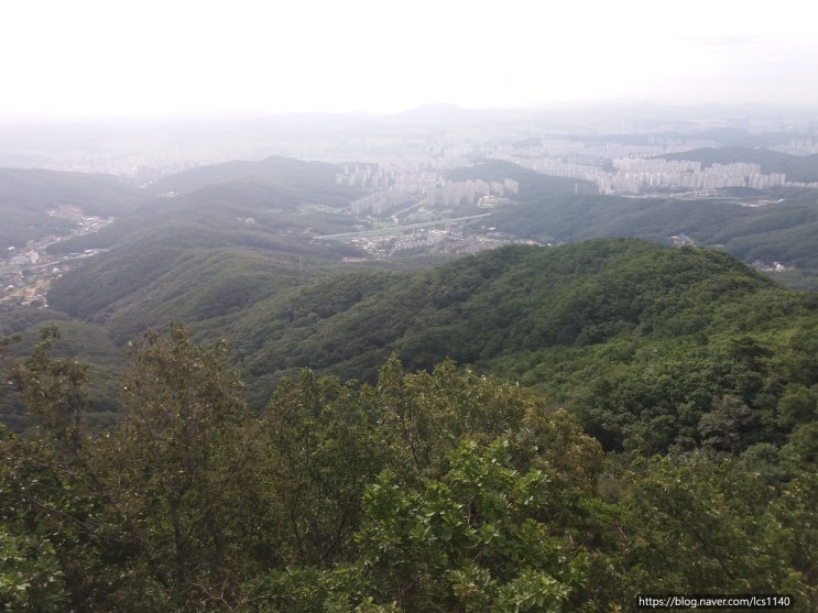 (장경-37) 참형잡세(參形雜勢)와 객주동정(客主同情)하는 곳은 장(葬)이 불가(不可)니라. : 네이버 블로그