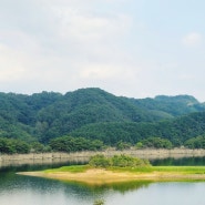 충북 옥천 가볼만한곳 부소담악 둘레길 산책길 전망대