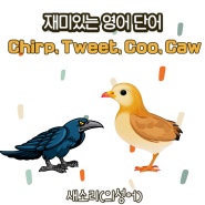 새소리는 영어로?? Chirp, Tweet, Coo, Caw의 차이점. 영어 의성어