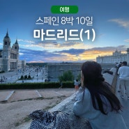 [스페인 여행(7)]최애 도시 등극(프라도 미술관, 마요르 광장, 마드리드 왕궁, 산 미겔 시장)