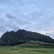 [제주/서귀포] 성산일출봉 무료 코스 후기, 제주 동쪽 가볼 만한 곳 *성산일출봉*