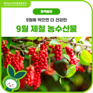 지금 먹으면 더 건강한 9월의 제철 농수산물💚