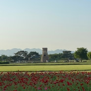 경주 포토존 경주 현지인 맛집을 알려주긴 하지만 출장이야기가 더 가득한,,,