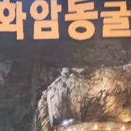 가볼만한곳 강원도 여행 정선 화암동굴 역사가 살아있는 곳 대자연의 신비