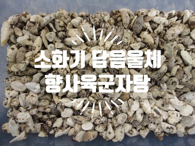 [빈용101처방] 기허와 소화기의 담음울체가 겸할 때 향사육군자탕 : 네이버 블로그