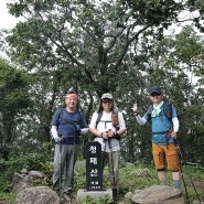 240824 막산악회 8월 정기산행 '청태산 산행 & 자영휴양림 야영'