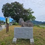 [국내 여행] 충주 단월 강수욕장 노지 무료 차박 캠핑장 폐쇄(24.09.16)