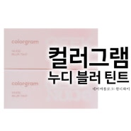 컬러그램 누디 블러 틴트 colorgram 1호살구살몬 8호 힙초콜릿 트렌디한 오버립 뽀용틴트