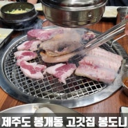 제주도 봉개동 신상 고깃집 봉도니