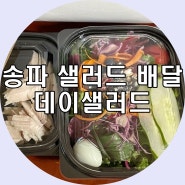 송파 위례 강남 서초 샐러드 정기배송 데이샐러드