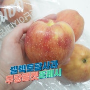 쿠팡 로켓프레시 셀렉트팜 못난이 사과 중과 1.5kg 아침 대용