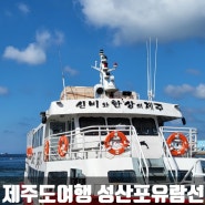 제주도여행 동쪽 성산코스 ) 성산일출봉과 우도를 배타고 한바퀴 둘러보는 성산포유람선