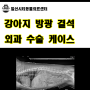 [일산 방광결석 수술] 다른 병원에서 결석 관리를 하는데 결석이 사라지지 않고 강아지가 불편해해요. 강아지 방광결석 수술 케이스 [24시 일산시티동물의료센터]