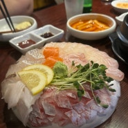 대구 바밤 교동 숙성회 맛집 1차 술집!