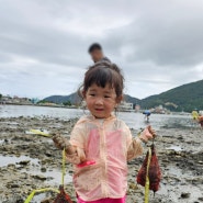 거제 다대갯벌체험마을 아이랑 바지락 캐기&천년의미소 펜션