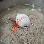 🥢Food | 서울 3대 평양냉면 웨이팅 맛집 <을지면옥>