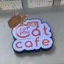 치앙마이카페 캣카페 catcafe 치앙마이반캉왓 아트빌리지 치앙마이한달살기 porphu catcafe