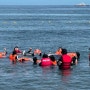 제주도교육청, “바다생존수영교육, 다음에도 또 하고 싶어요”