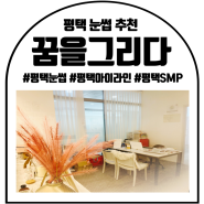 평택 눈썹 : 평택SMP : 꿈을그리다 & 끌림뷰티아카데미