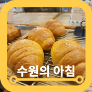 일산 베이커리 수원의아침 벨라시타점 아바론 밀가루