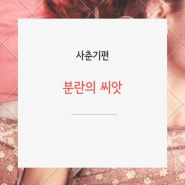 분란의 씨앗