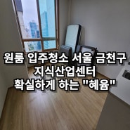 원룸 입주청소 서울 금천구 지식산업센터