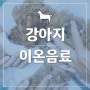 강아지 포카리스웨트 등 사람 이온음료 마셔도 될까요?