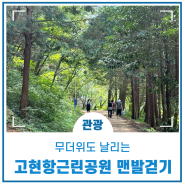 무더위도 날리는 고현근린공원 맨발걷기