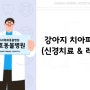 [광주 치과 동물병원, 금호동 동물병원, 강아지 치아파절, 강아지 신경치료, 강아지 레진] 4살 강아지의 치아파절로 인한 신경치료 Case