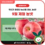 [제철 농넷] 우리가 원했던 농산물 정보, 농넷 🍎9월 제철 사과편🍎