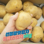 선일팜 강원도 햇감자 3kg 쫀득해요