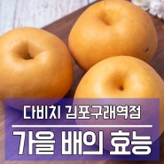 시원하고 달콤한 맛이 일품인 배 효능 알아보기