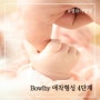 [유아교육] Bowly 보울비 애착 의미 / 애착형성 4단계 / 분리불안 / 대상영속성