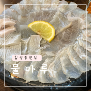 마산 합성동 회집 , 한우물회도 맛있었던 물마루