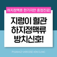 지렁이 같은 다리 혈관 하지정맥류 방치되었단 신호