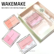 [WAKEMAKE] 웨이크메이크 쉬어 레이어링 듀얼 블러셔 리뷰